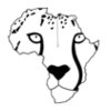 cheetah design AFRICA  2 