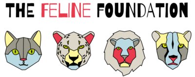 The feline foundation 3 copy